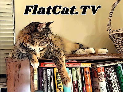 Flat Cat TV Banner